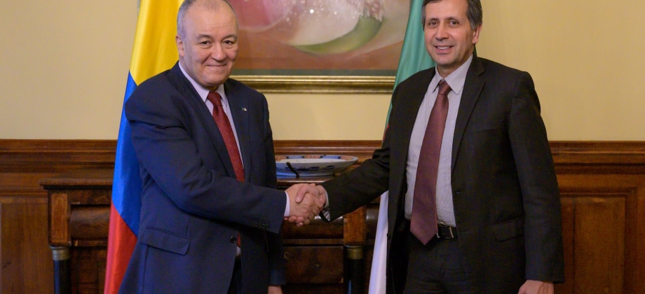 Viceministro Echeverri presidió la II reunión de Consultas Políticas con Argelia